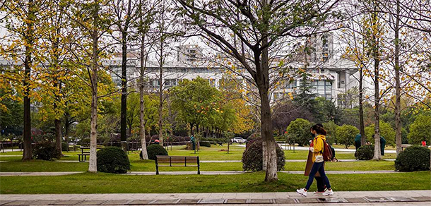 浙大城市學(xué)院 - 最美大學(xué)