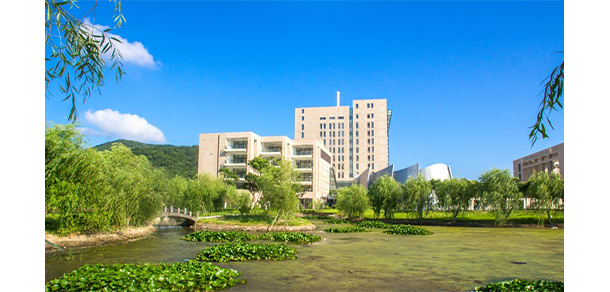 我的大學(xué)-大學(xué)志