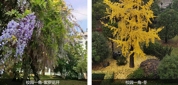 浙江金華科貿職業(yè)技術學院 - 最美大學