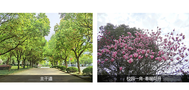 浙江金華科貿職業(yè)技術學院 - 最美大學