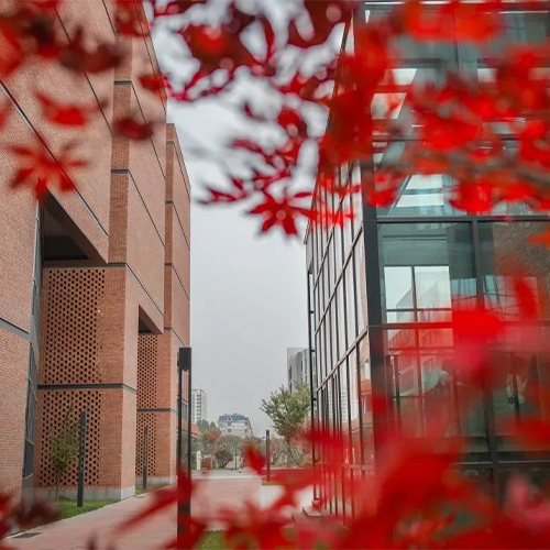 山東農(nóng)業(yè)大學(xué)-大學(xué)文化