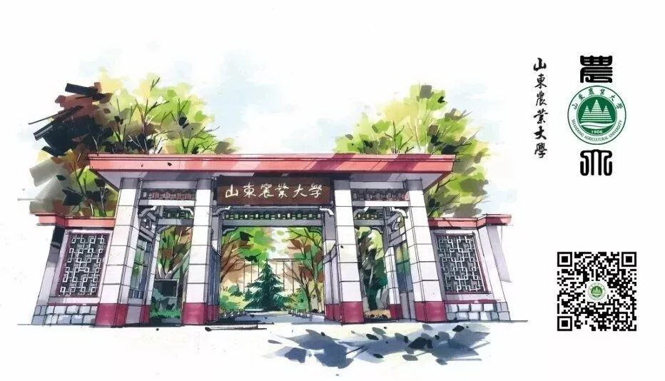 山東農(nóng)業(yè)大學(xué) 我的大學(xué)