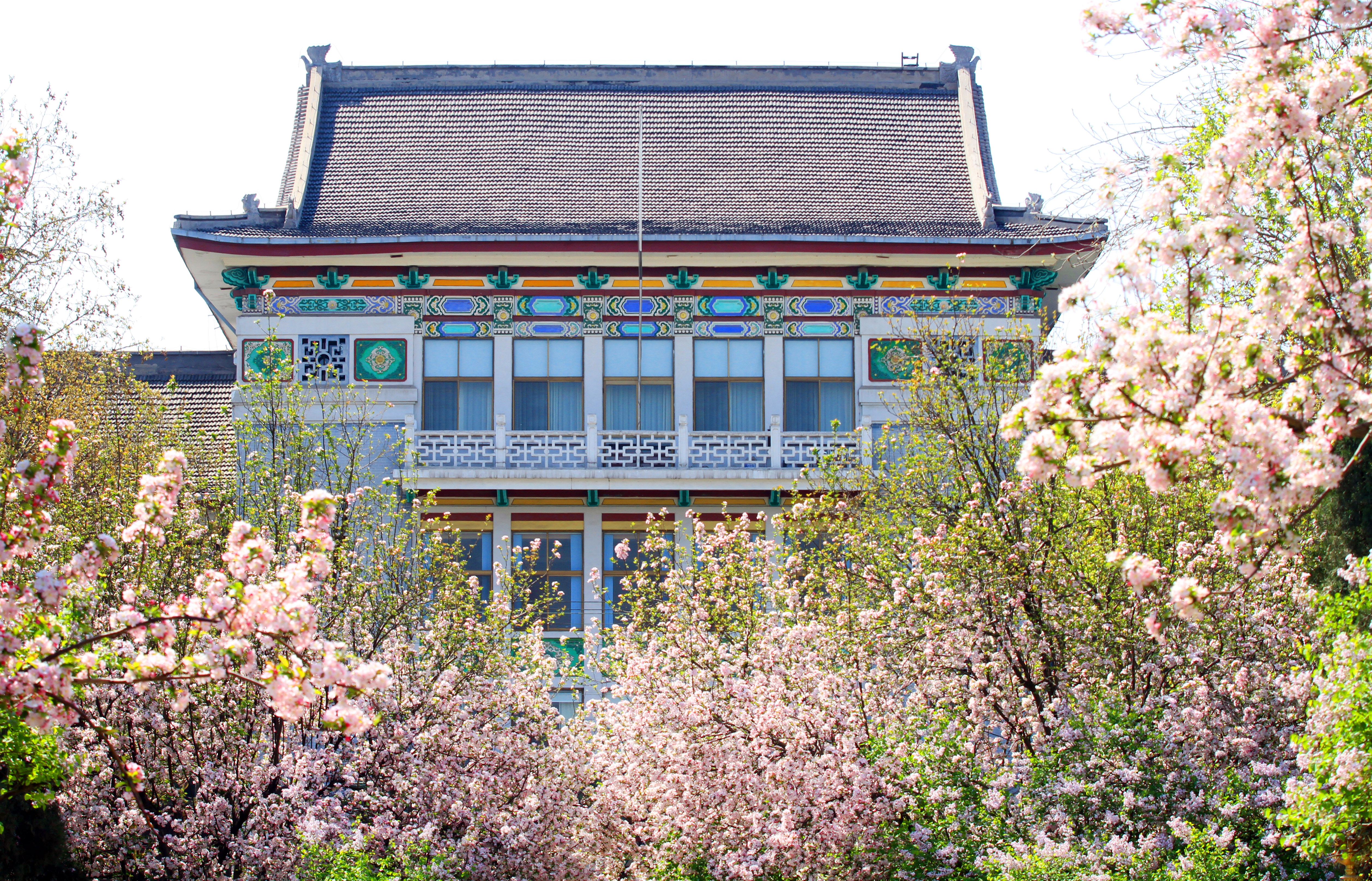 山東師范大學 我的大學