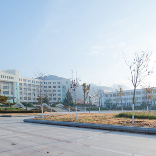 我的大學(xué)