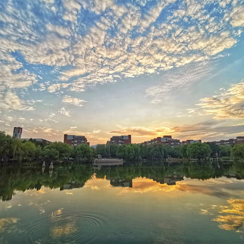 山東科技大學-早安青春
