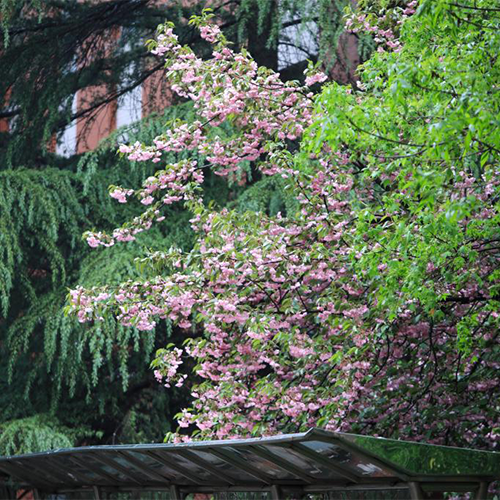 山東英才學(xué)院-大學(xué)文化