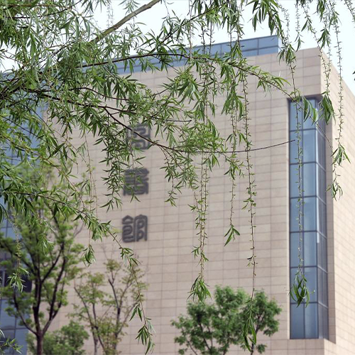 歲月流金 · 青春不散場