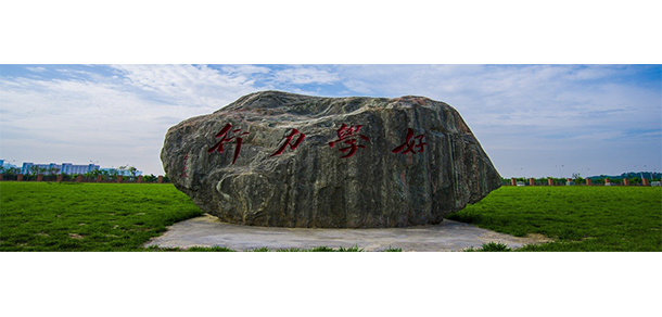 我的大學(xué)-大學(xué)志