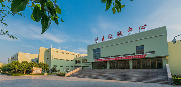 我的大學(xué)-大學(xué)志