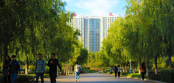 我的大學(xué)-大學(xué)志