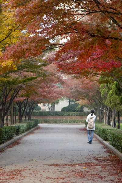 河南科技大學(xué)