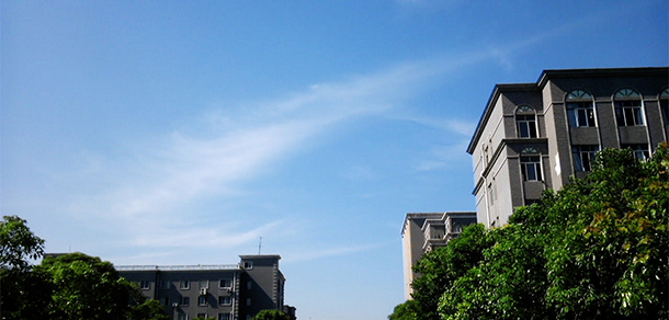 我的大學-大學志