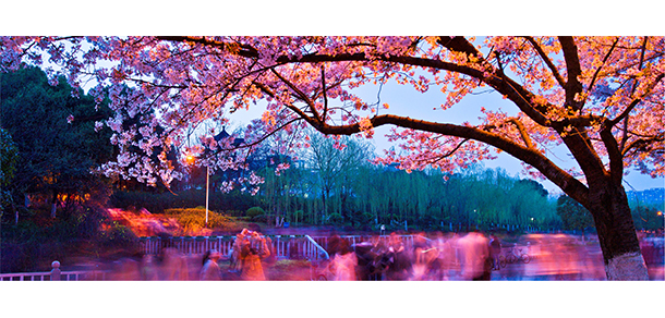 2021年招生分數(shù)