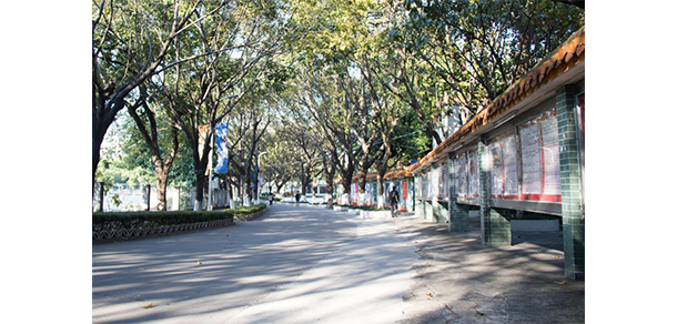 東莞理工學院 - 最美大學