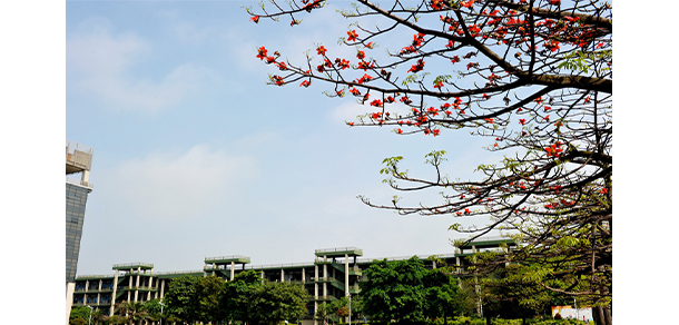 廣東工業(yè)大學 - 最美大學