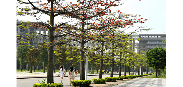 廣東工業(yè)大學 - 最美大學