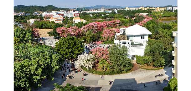 廣州軟件學院