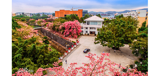 廣州軟件學(xué)院