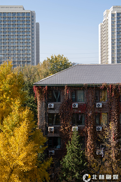 北京林業(yè)大學