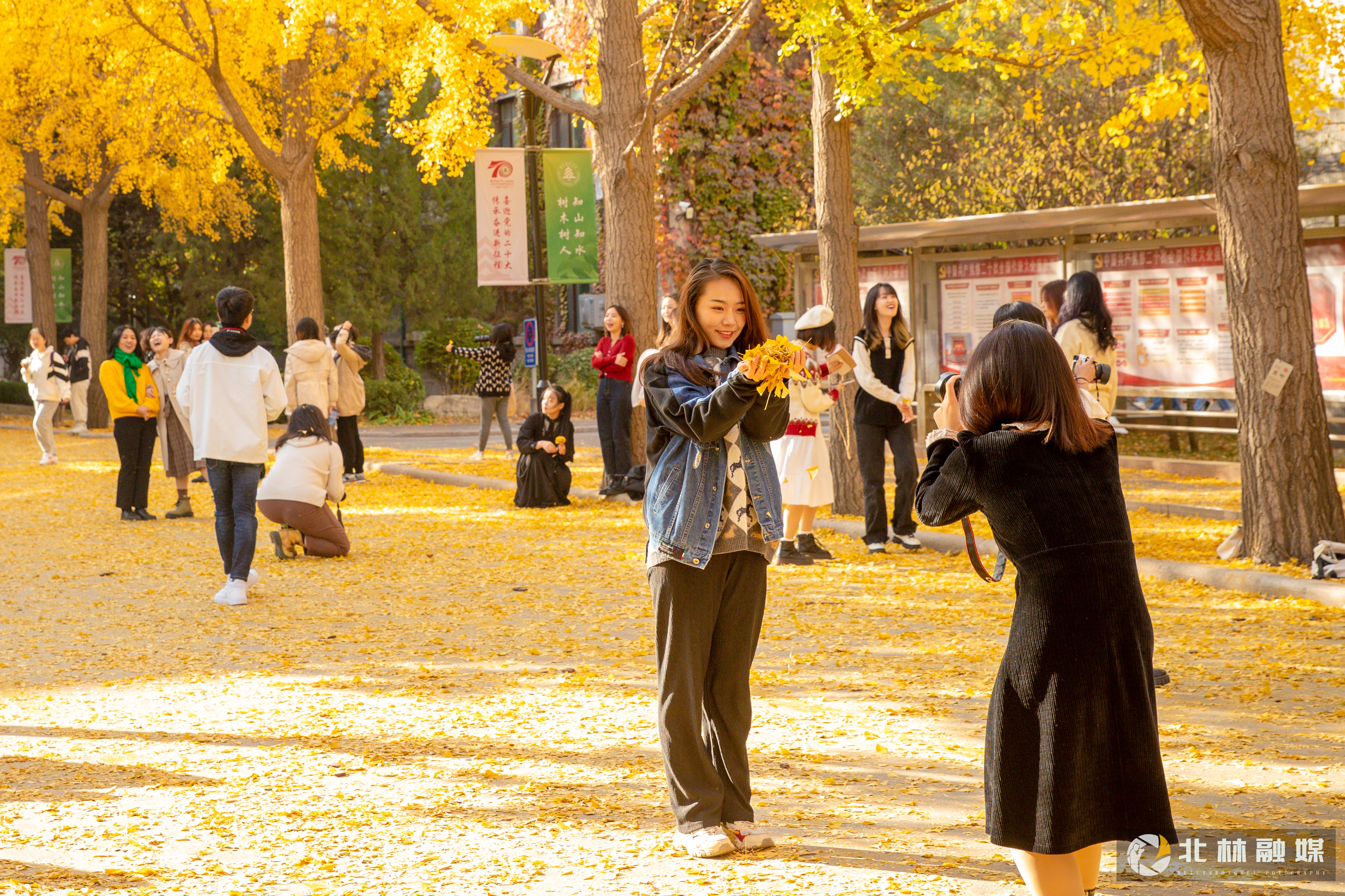 北京林業(yè)大學(xué) 我的大學(xué)