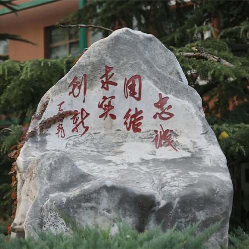 招生信息