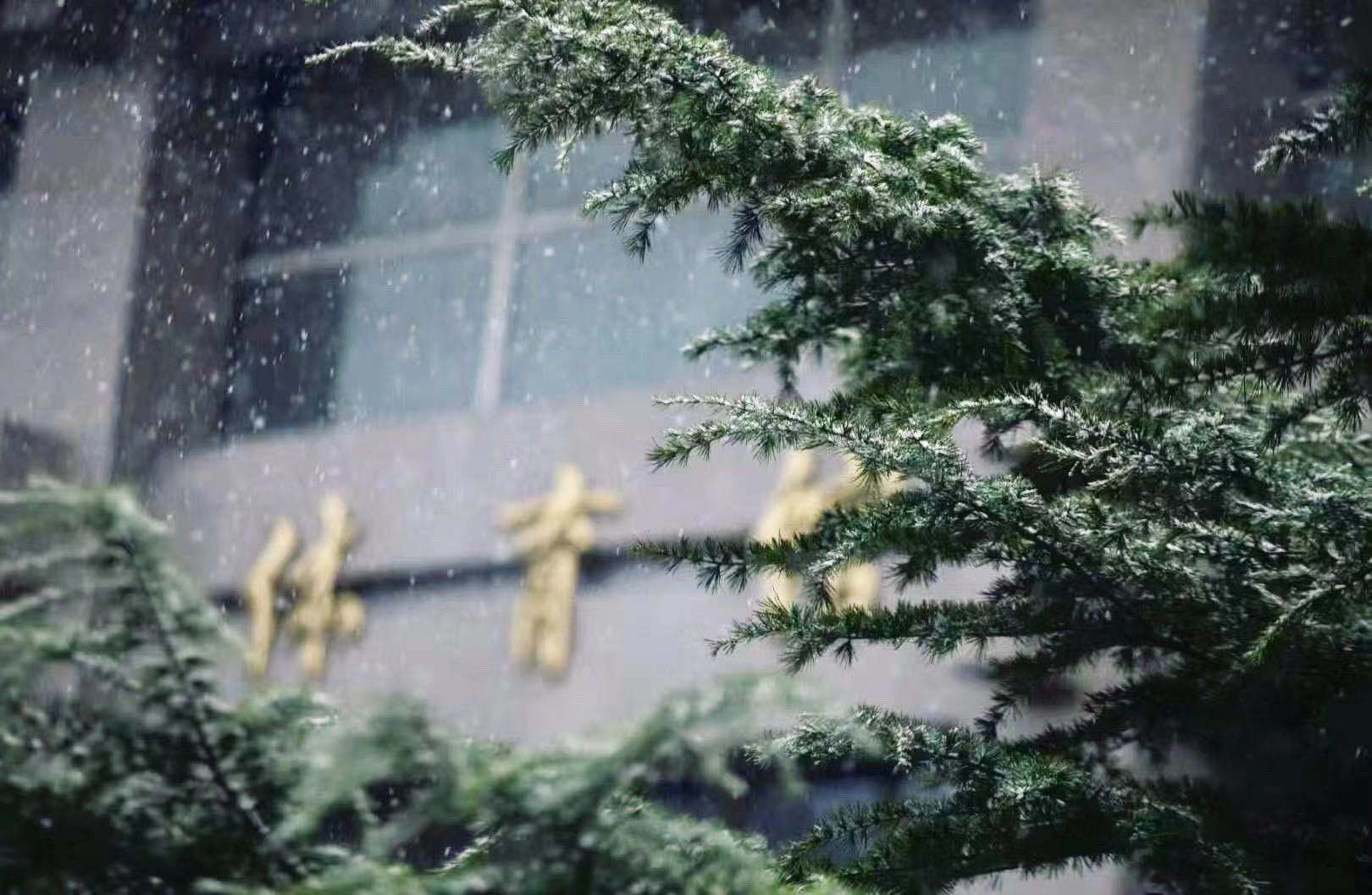 中國消防救援學院 早安青春