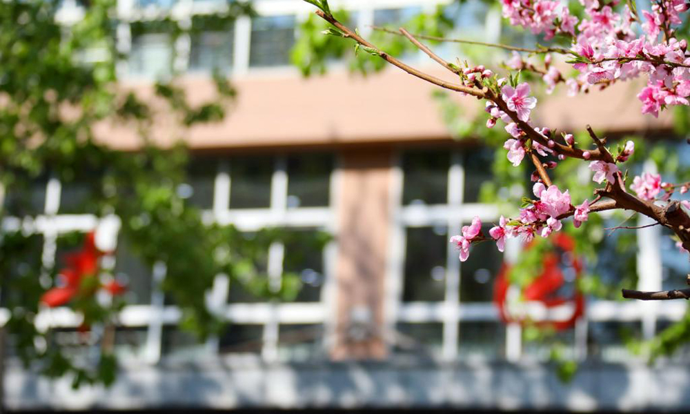 中國最美大學(xué)