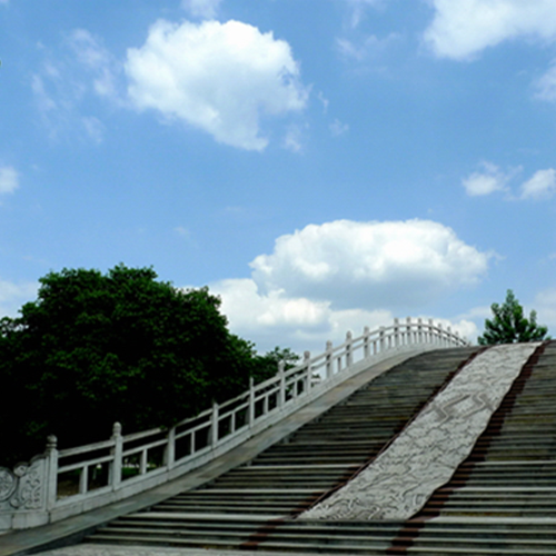 成都中醫(yī)藥大學(xué) - 書行山海 落筆芳華