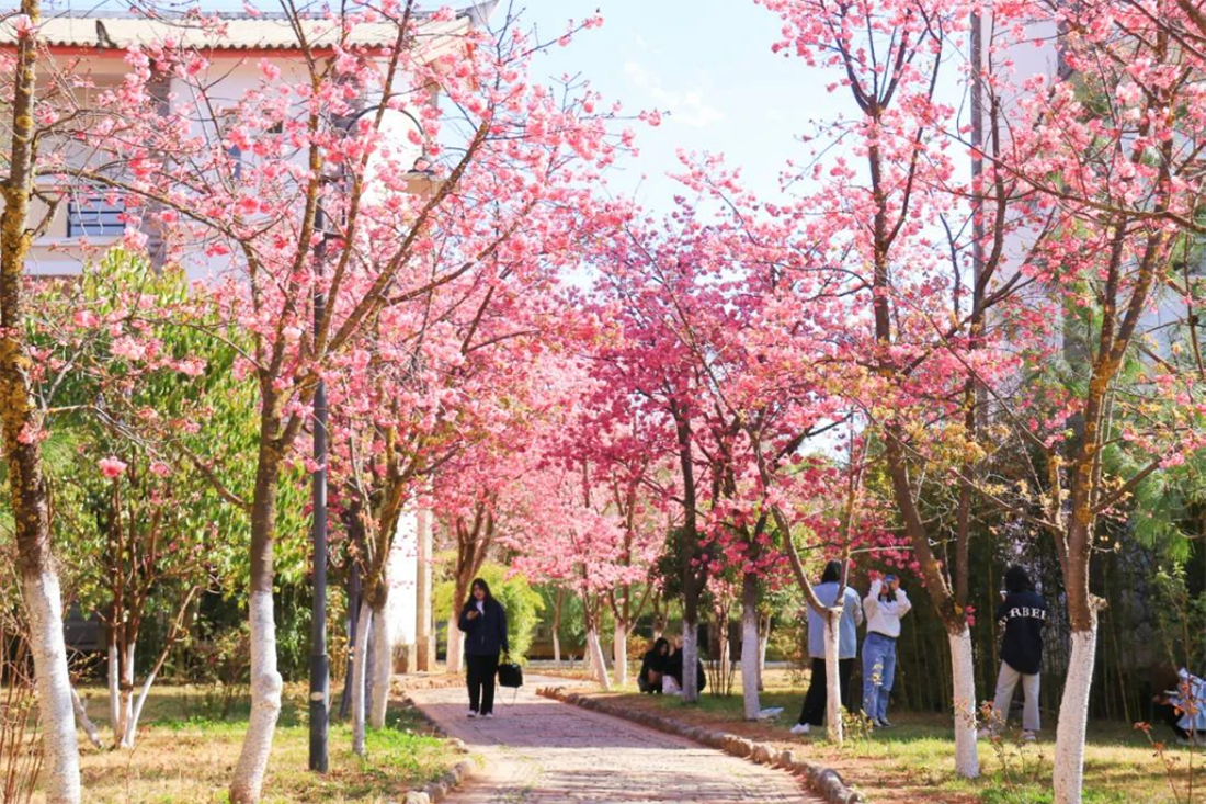 麗江文化旅游學(xué)院（原云南大學(xué)旅游文化學(xué)院）2022年?？普猩喺? width=