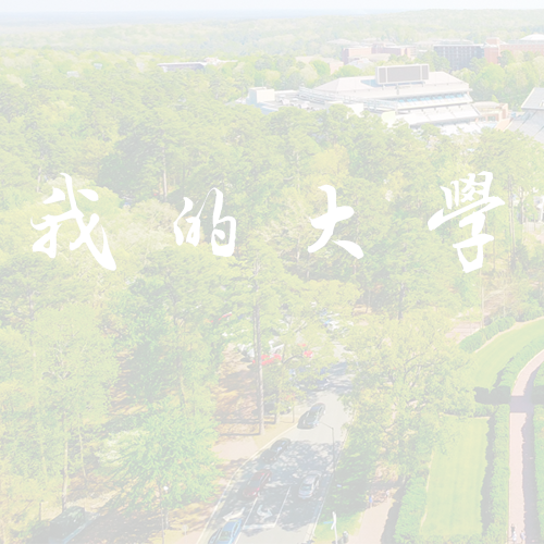 麗江文化旅游學院 - 書行山海 落筆芳華