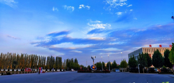 我的大學(xué)-大學(xué)志