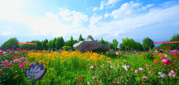 我的大學(xué)-大學(xué)志