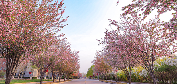 燕京理工學院