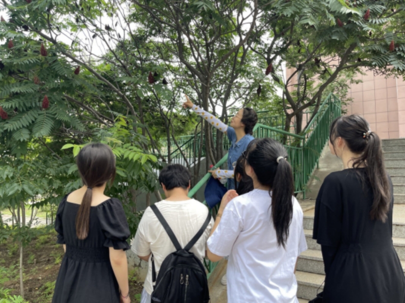 校園植物識別與統(tǒng)計
